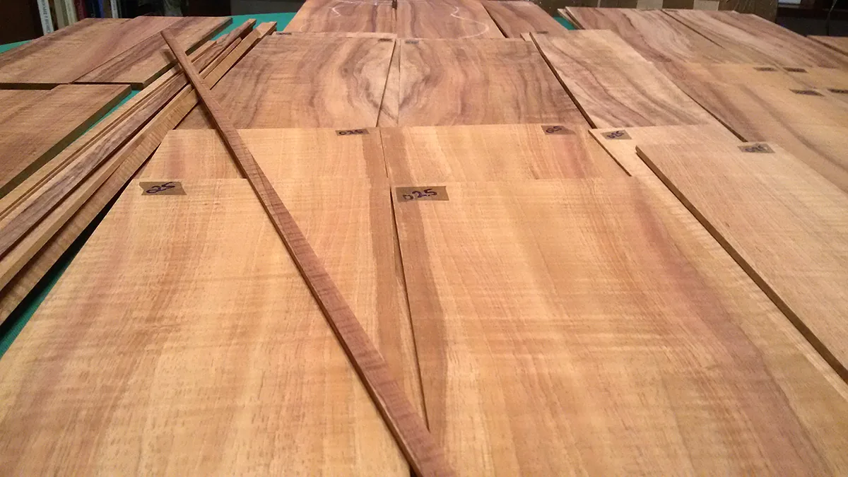 Figurazione del koa